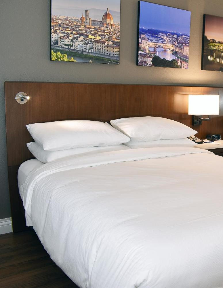 Queen Room with Queen Bed and Transfer Shower - Mobility and Hearing Accessible interior